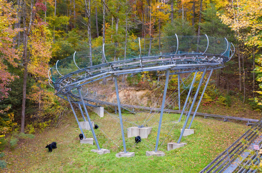 Moonshine Mountain Coaster, United States